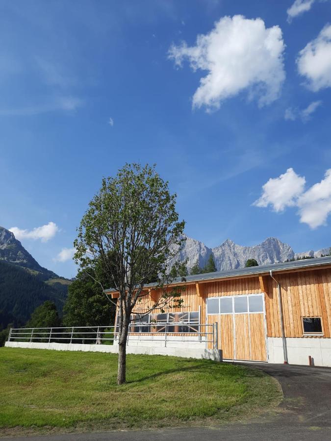 Appartement Muehlebnerhof Ramsau am Dachstein Exteriér fotografie