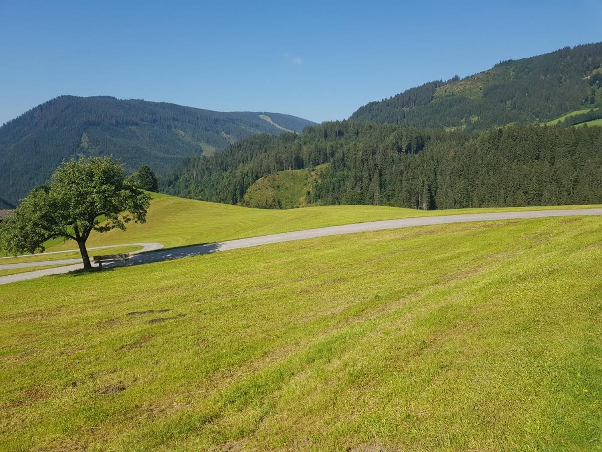 Appartement Muehlebnerhof Ramsau am Dachstein Exteriér fotografie