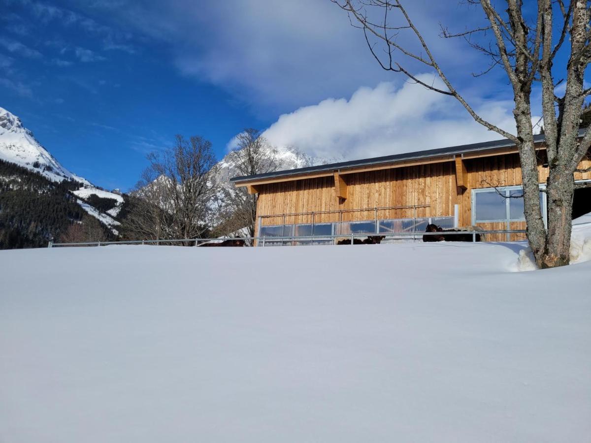 Appartement Muehlebnerhof Ramsau am Dachstein Exteriér fotografie